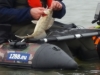 Vangsten 12BB vanuit de belly boat